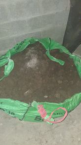 soil / clay