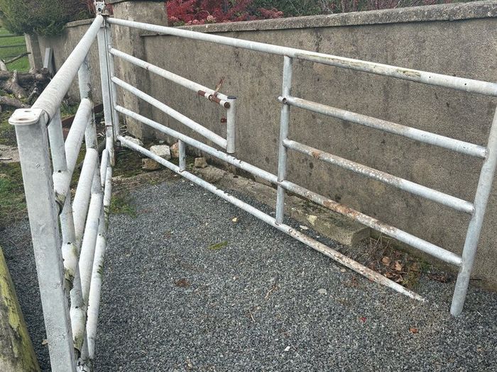 Calving gate