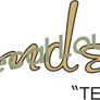 fender Stratocaster decal Image 3