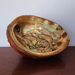 Mid-century abalone shell footed dish