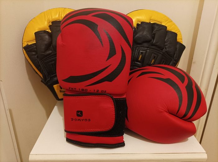 Boxing Gloves and Pads Set