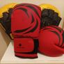 Boxing Gloves and Pads Set Image 2