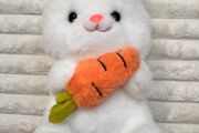White Bunny Plush with Carrot approx. 25 cm. Used Please see photos