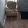 Kindling sticks Image 2