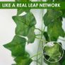 Artificial Ivy Garlands - 6Pack 210cm Length - Realistic Fake Vines for Room Aesthetic and Garden Wall Decoration for Indoor Outdoor, Green Faux Leaves Image 4