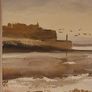 Strangford Lough by Ray Elwood Image 2