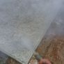 Steam power washer and professional steam hover Image 2
