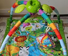 Baby Playmat