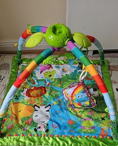 Baby Playmat