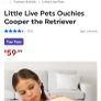 Little Live Pets Ouchies.. Cooper Image 6