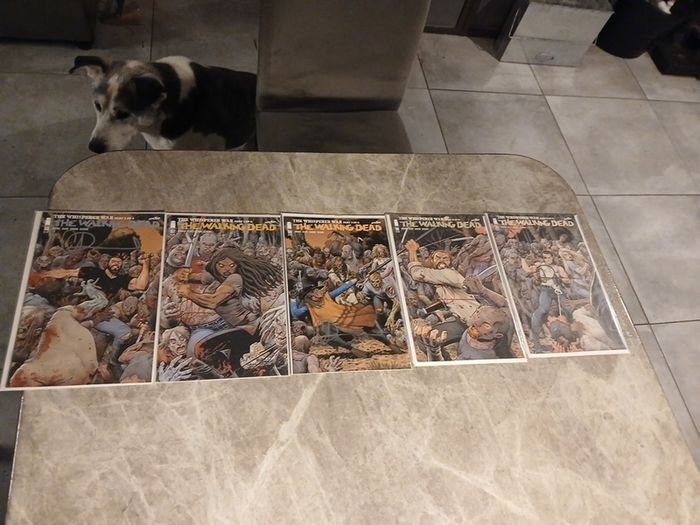 Walking Dead comic bundles/joblots 15 comics including a Adlard signed issue variants plus keys.