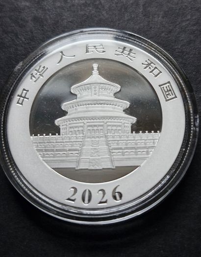 30 Gram Silver  Panda  2026  Yuan 10 Bu Coin