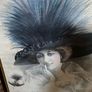 framed print - vintage Image 3