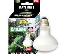 Reptile Nova Bulb For Terrariums UVA 75W DAYLIGHT