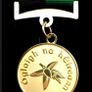 Irish Volunteers commemorative medal Image 2
