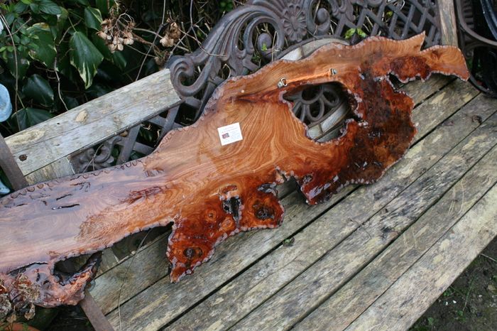 Original Artwork, Acrylic on live edge Cedar, housewarming gift, unique artwork, cabin gift, rustic art 55" x 14"