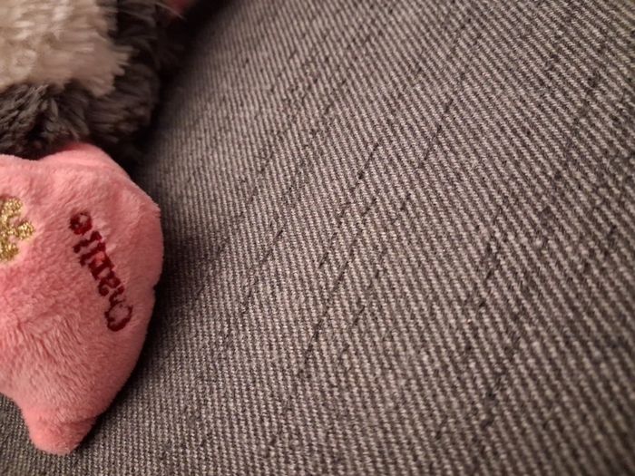 Christmas musical soft toy.