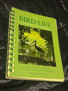 The Bird-Life in Mustique in The Grenadines Michael Pace and Rob Speirs