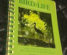 The Bird-Life in Mustique in The Grenadines Michael Pace and Rob Speirs