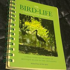 The Bird-Life in Mustique in The Grenadines Michael Pace and Rob Speirs