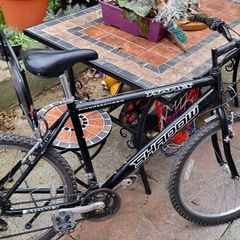 Planet Shadow Mountain bike