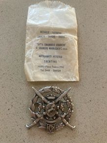 Italian Army pin