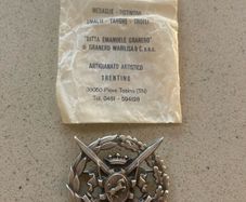 Italian Army pin