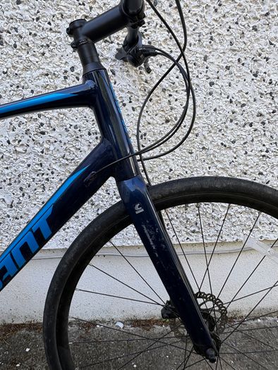 Giant FastRoad Mens Bike
