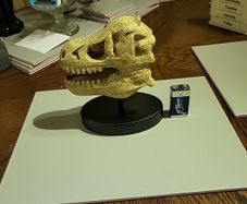 Dinosaur skull model
