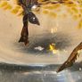 Art Glass Paperweight Image 6