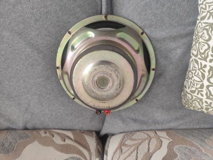 Subwoofer 10" driver