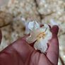 cream pale yellow faux flowers wholesale bundle Image 2