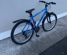 Apollo Bike