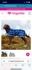 Magnetic dog treatment coat