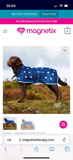 Magnetic dog treatment coat