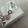 Pandora charm Image 2