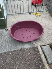 XL dog bed