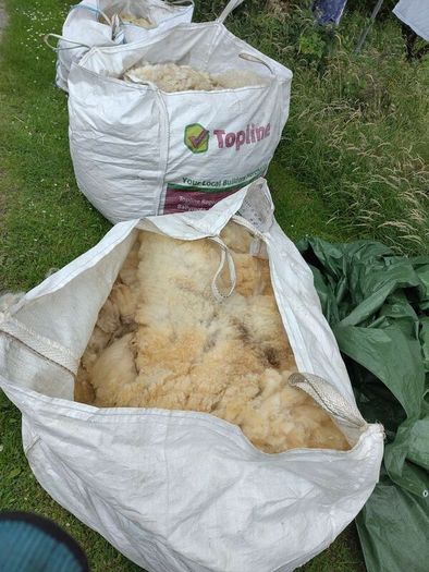 Galway Wool