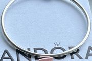 Pandora Bangle - Moments Disney Aladdin Princess Jasmine Bangle