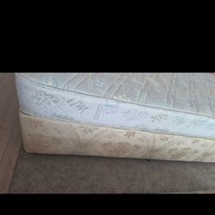 Free Single Bed