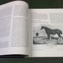 The Irish Draught Horse A History Ireland Image 4