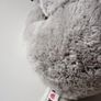 Souvenir from Australia - Koala Image 8