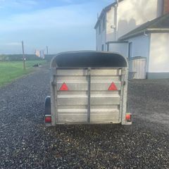 Ivor Williams livestock trailer