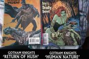 DC Comics - Batman Gotham Knights Returns of Hush &amp; Human Nature