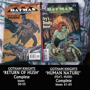 DC Comics - Batman Gotham Knights Returns of Hush & Human Nature