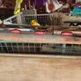 Volkswagen transporter bullbar, side bars, top bar Image 4