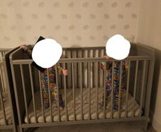 Cot and Toddler Bed