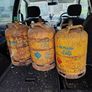 5 Gas bottles for sale Image 2