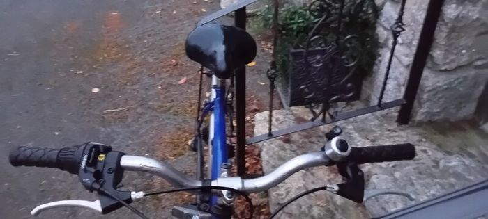 Gents Bicycle Bargin