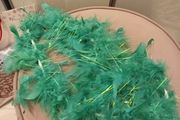 st patricks day Green feather boa